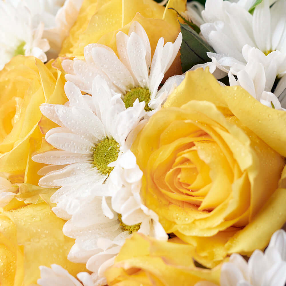 Floral Fantasy Daisy Bouquet - Floral Gift - Canada Delivery