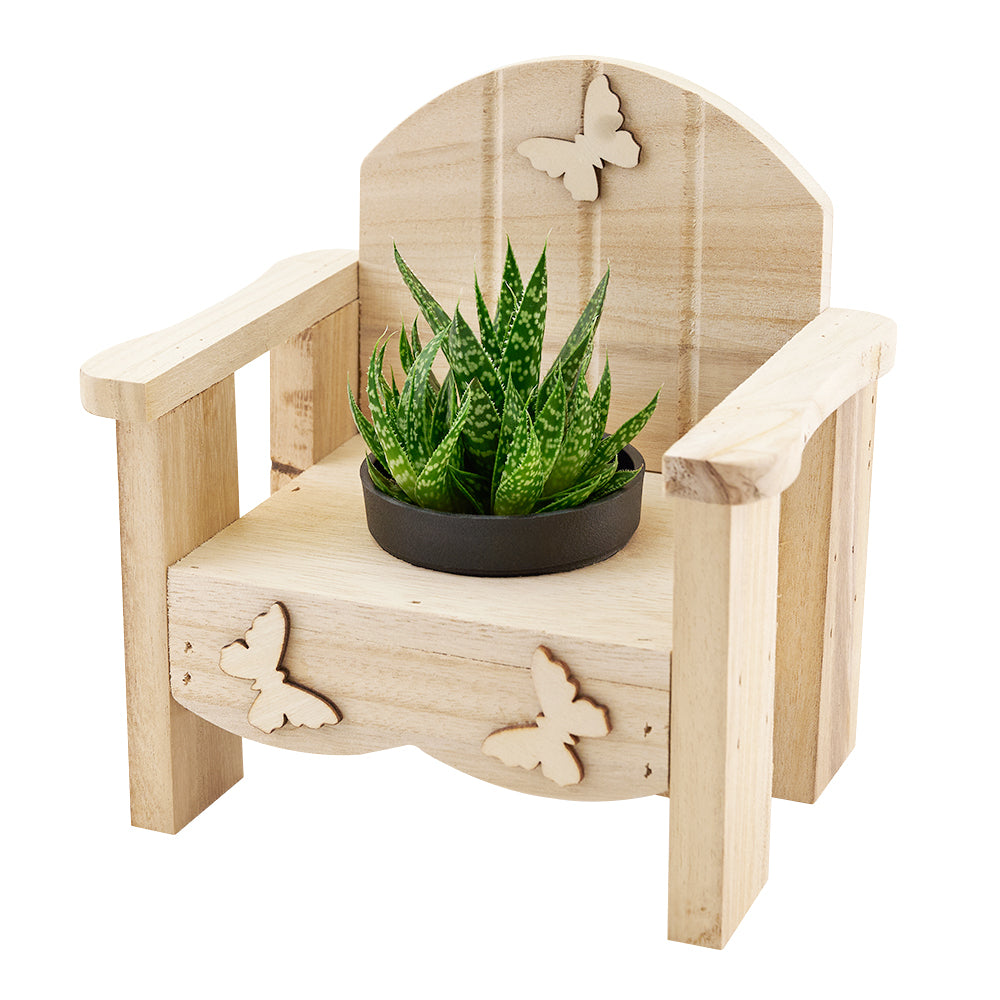 Butterfly planter chair arrangement with a potted succulent. Canada Delivery