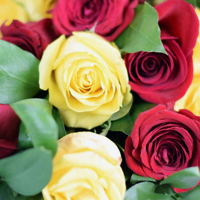 Red & Yellow Roses - Same Day Flower Delivery - Flower Gifts