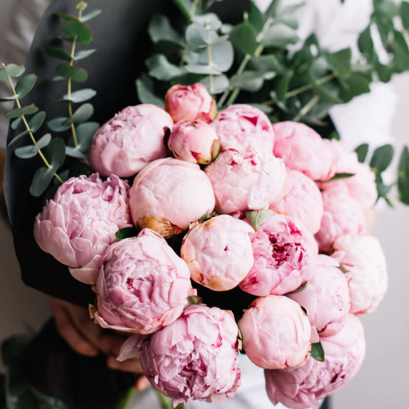 Experience the best of every season with the Seasonal Flower Subscription from The Hops Collective Canada