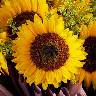 Summer Glory Sunflower Bouquet - Blooms - Canada flower delivery