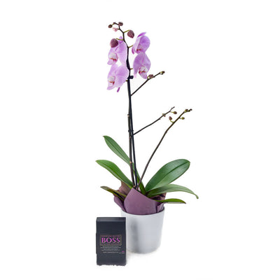 Floral Treasures Flowers Chocolate Gift - Orchid Gift Set - Canada Delivery
